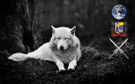 ΠΣШ ΛGΣ ~ ✪ Sir.