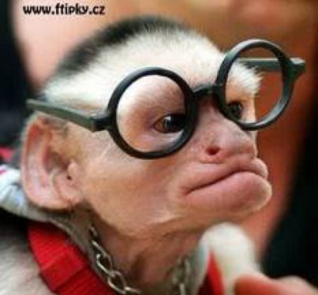 ΠΣШ ΛGΣ ~ srp321_CZ