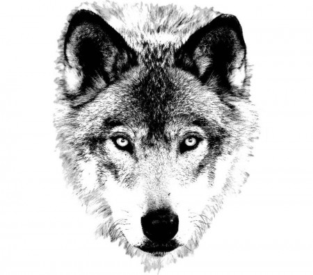 ΠΣШ ΛGΣ ~ KrOniX